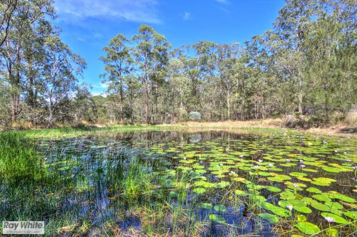 RAINBOW FLAT NSW 2430, Rainbow Flat - Thumbnail 4