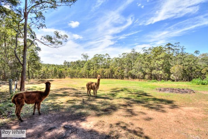 RAINBOW FLAT NSW 2430, Rainbow Flat - Thumbnail 7