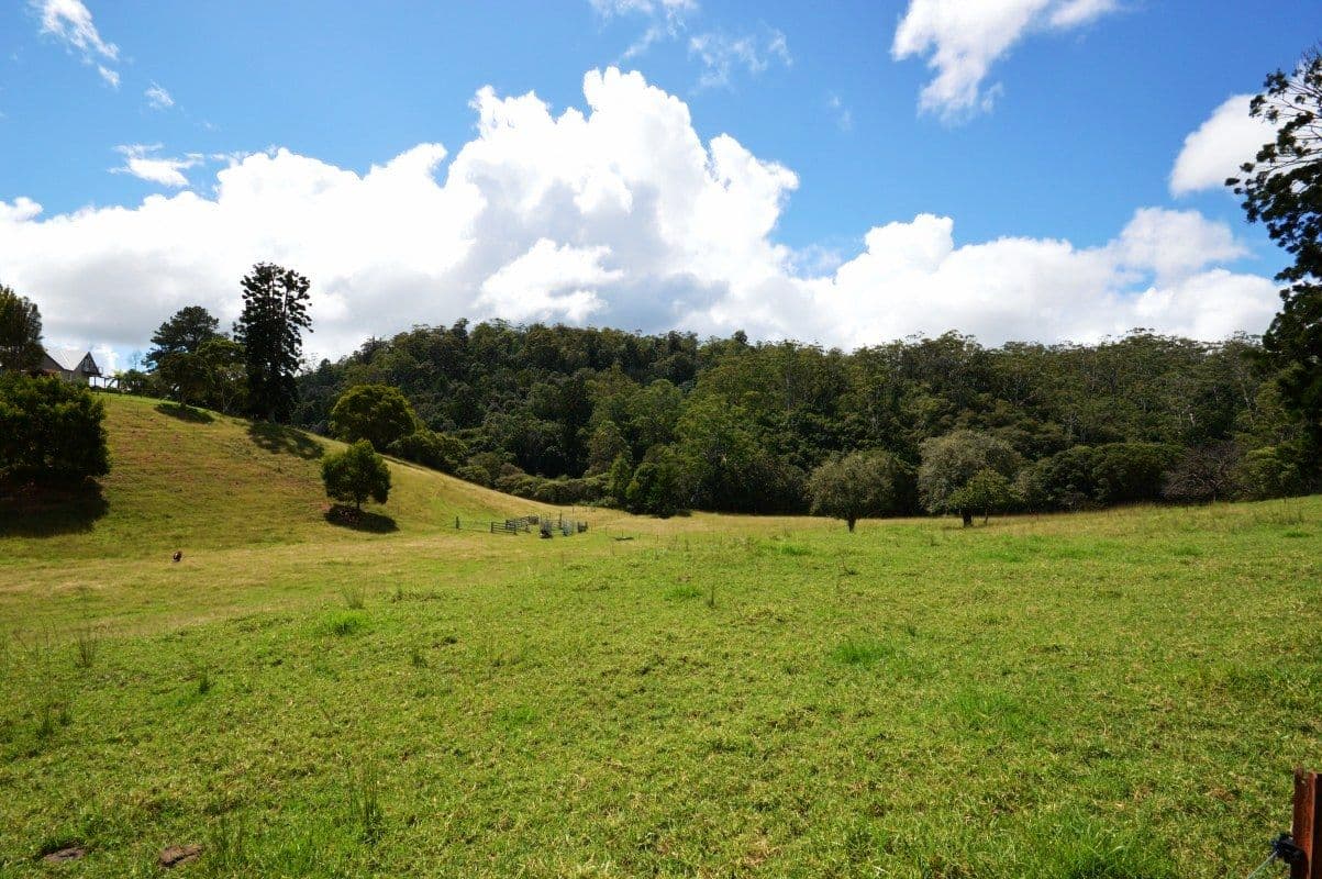 206 Timmsvale Road, Ulong NSW 2450, Ulong - Thumbnail 7