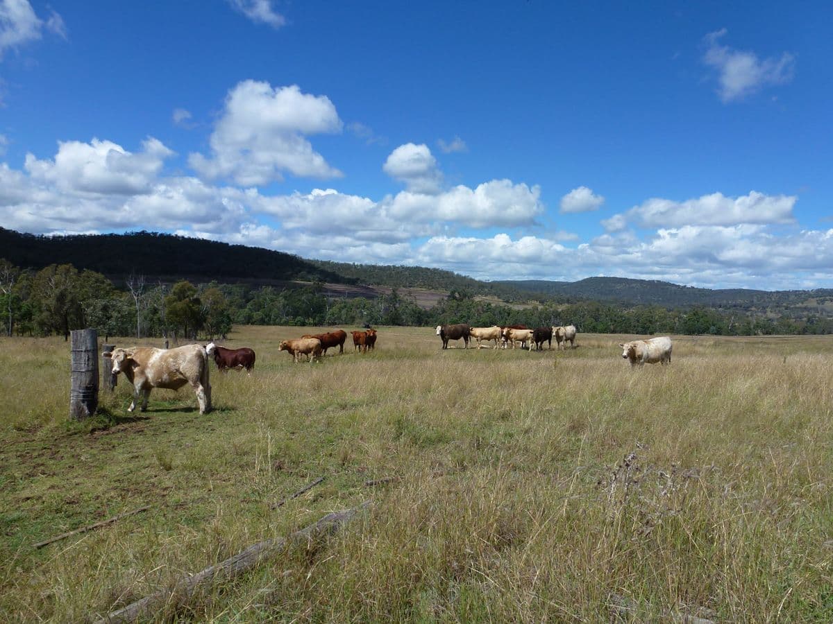 Waldron Road, UPPER PILTON QLD 4361, Upper Pilton - Thumbnail 7