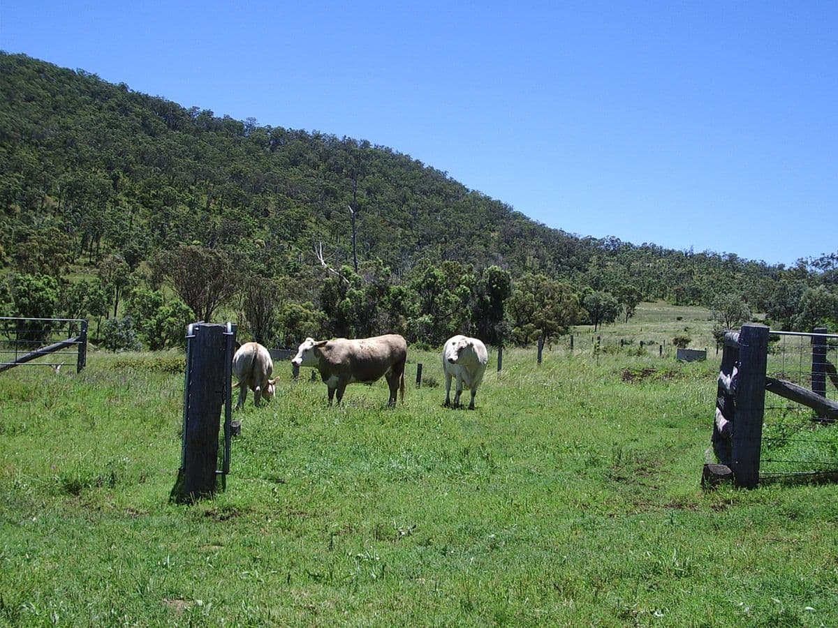 Waldron Road, UPPER PILTON QLD 4361, Upper Pilton - Thumbnail 8