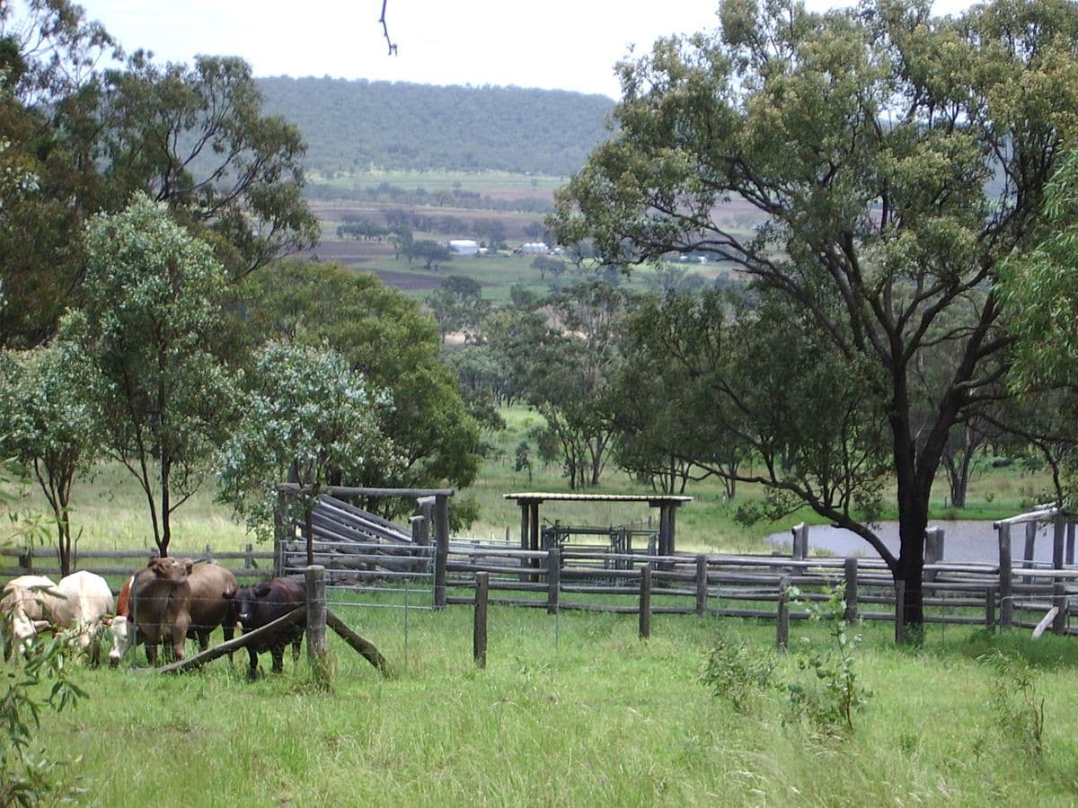 Waldron Road, UPPER PILTON QLD 4361, Upper Pilton - Image 1