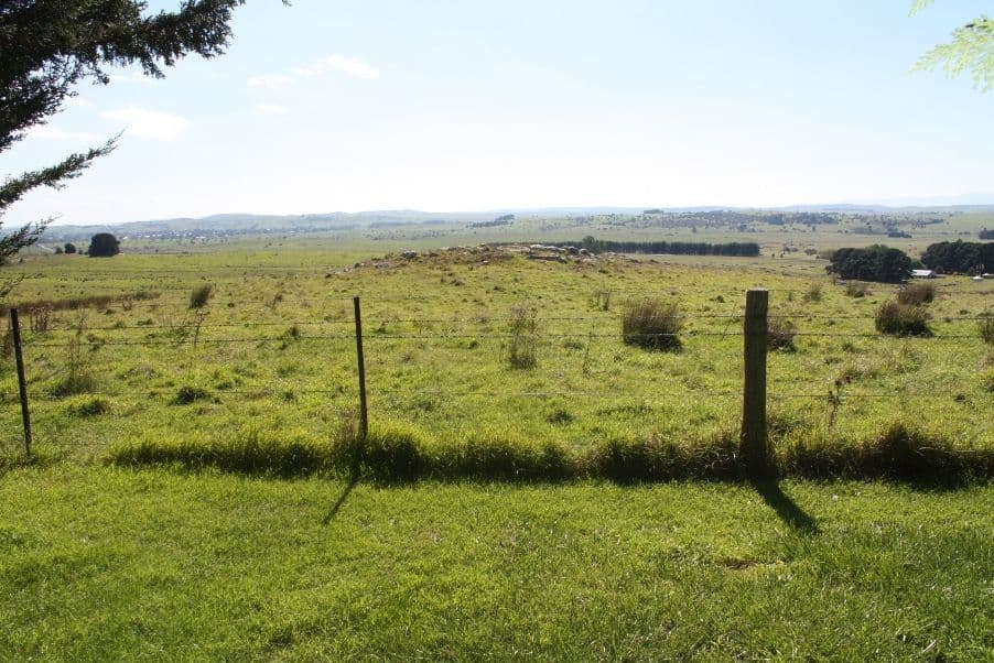 161 Majors Creek Road, BRAIDWOOD NSW 2622, Braidwood - Thumbnail 5