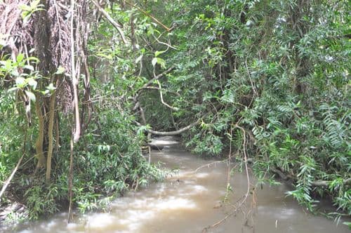 Atherton QLD 4883, Atherton - Thumbnail 7