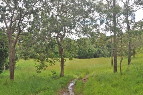 Atherton QLD 4883, Atherton - Image 1
