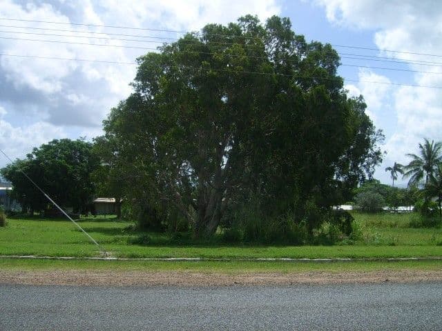 81 Hope Street, Cooktown QLD 4895, Cooktown - Thumbnail 3