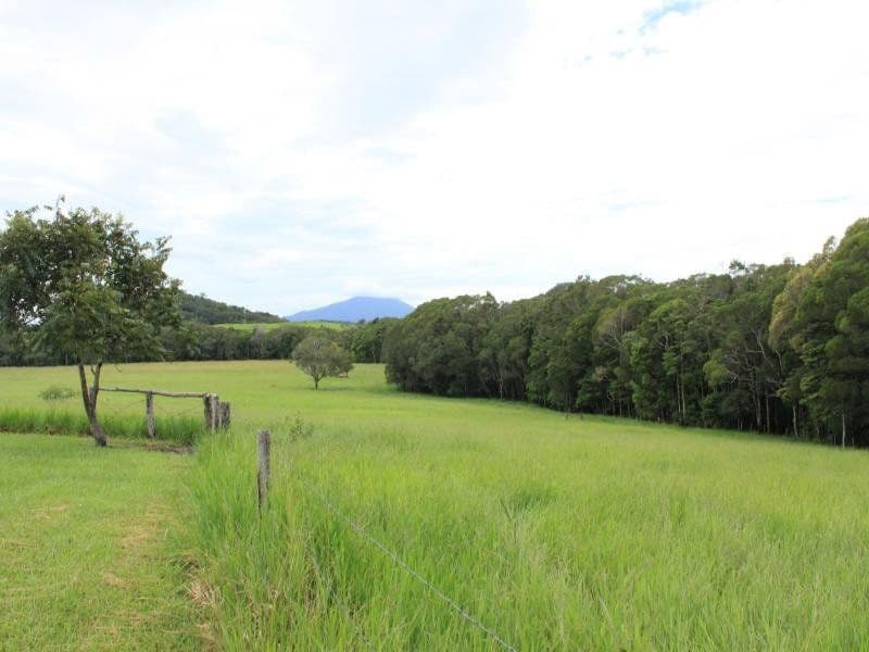 229 Clacherty Road, JULATTEN QLD 4871, Julatten - Thumbnail 7