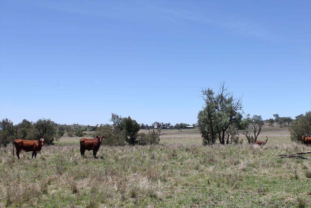 Ironpot QLD 4610, Ironpot - Thumbnail 2
