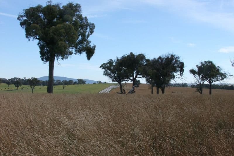 90 Sunset Hills Road, BLAYNEY NSW 2799, Blayney - Thumbnail 6
