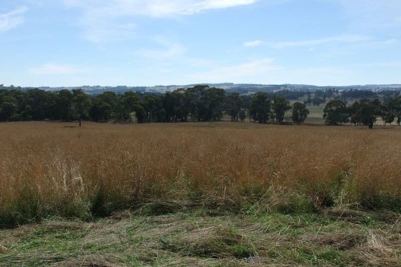 90 Sunset Hills Road, BLAYNEY NSW 2799, Blayney - Thumbnail 7