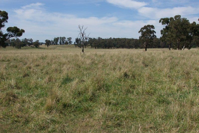 90 Sunset Hills Road, BLAYNEY NSW 2799, Blayney - Thumbnail 8