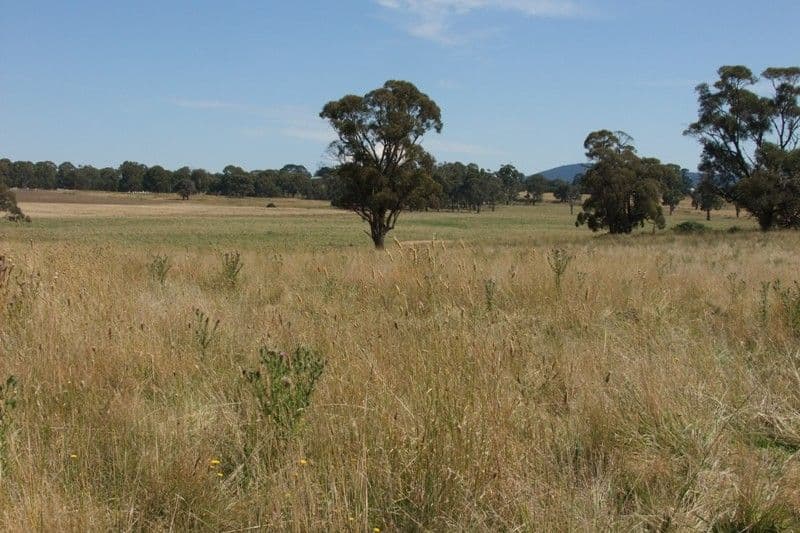 90 Sunset Hills Road, BLAYNEY NSW 2799, Blayney - Thumbnail 5