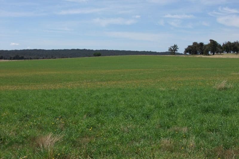90 Sunset Hills Road, BLAYNEY NSW 2799, Blayney - Image 1