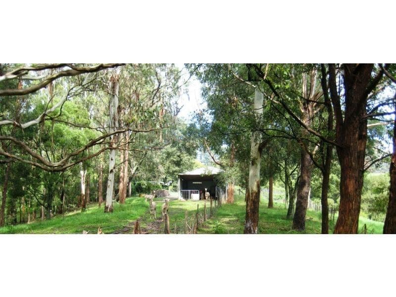112 McIndoes Road, Dorrigo NSW 2453, Dorrigo - Image 1