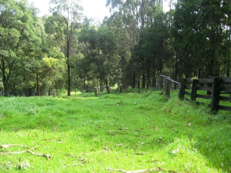 112 McIndoes Road, Dorrigo NSW 2453, Dorrigo - Thumbnail 5