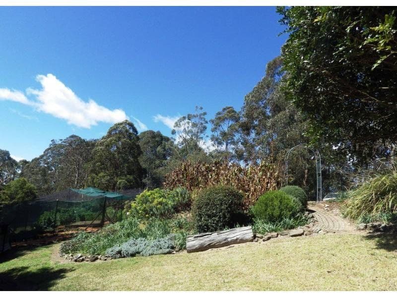 112 McIndoes Road, Dorrigo NSW 2453, Dorrigo - Thumbnail 8