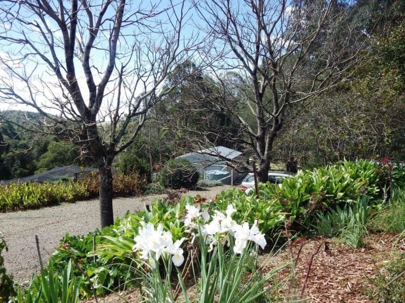 112 McIndoes Road, Dorrigo NSW 2453, Dorrigo - Thumbnail 3
