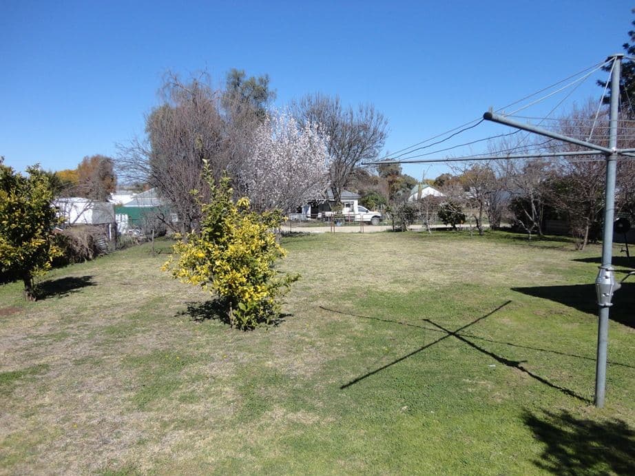 36 Burnett Street, Delungra NSW 2403, Delungra - Thumbnail 4