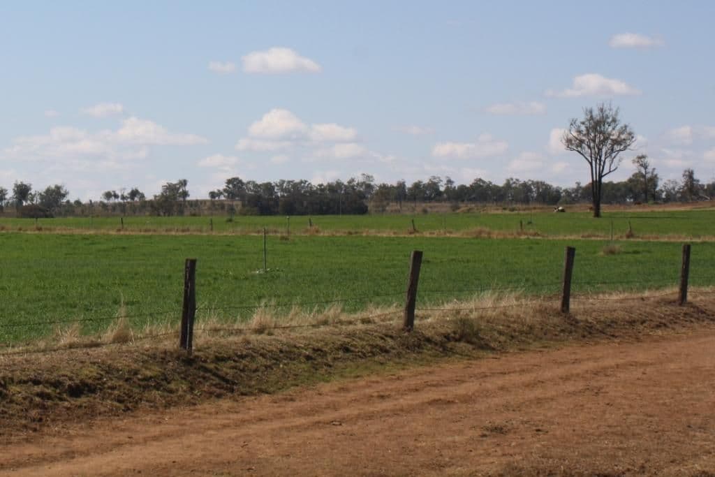 MUNDUBBERA QLD 4626, Mundubbera - Thumbnail 3
