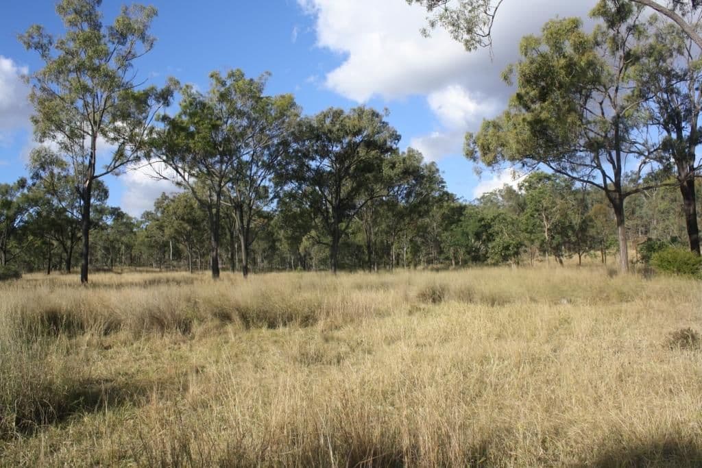 MONTO QLD 4630, Monto - Thumbnail 5