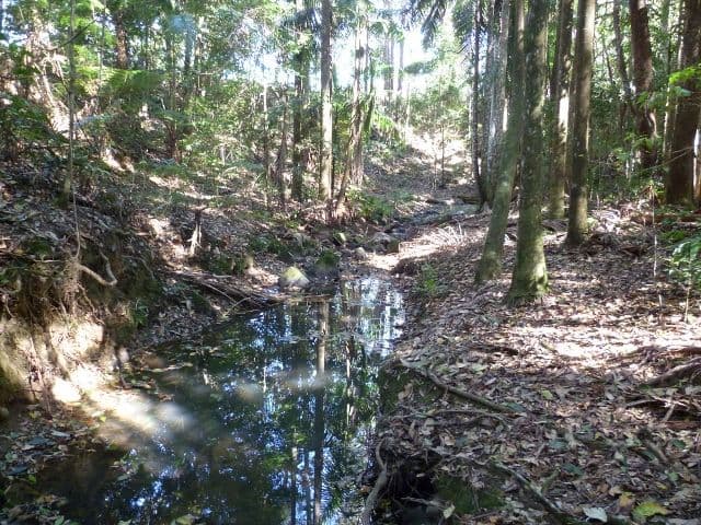 Tyalgum NSW 2484, Tyalgum - Thumbnail 5