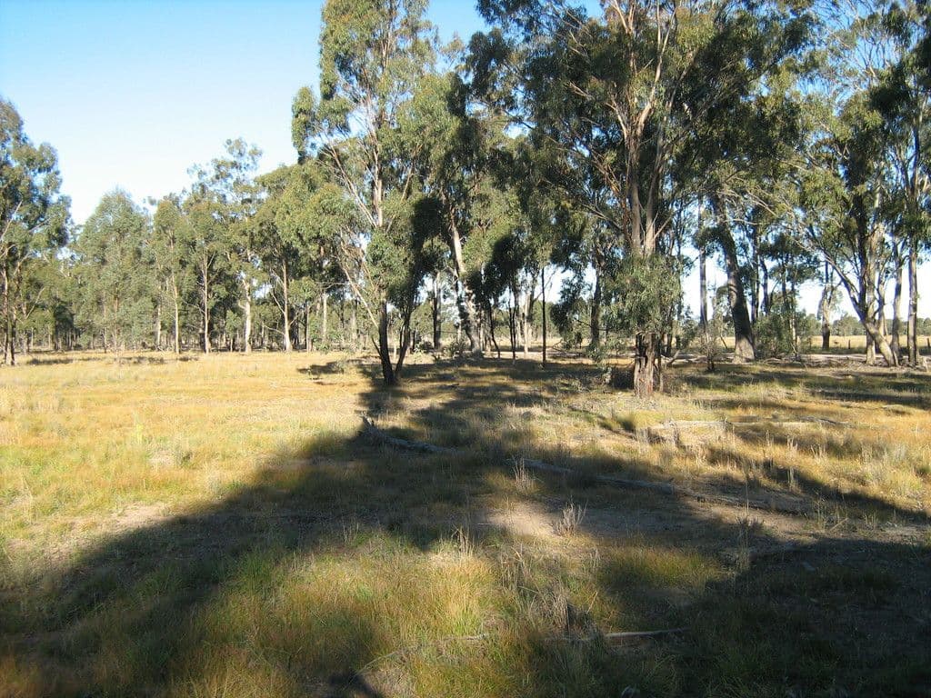 Lot 1 Weitzels Road, Tara QLD 4421, Tara - Thumbnail 5