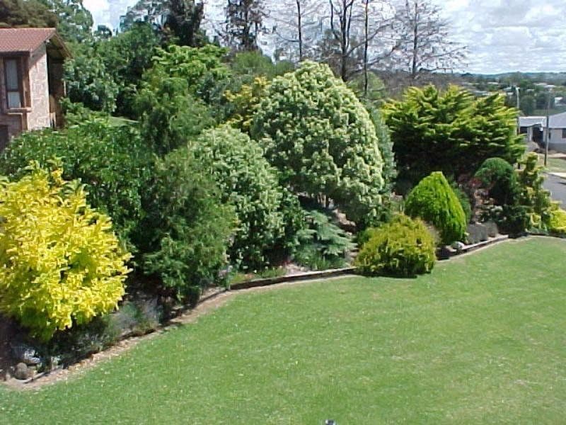 9 Bates Avenue, GLEN INNES NSW 2370, Glen Innes - Thumbnail 7