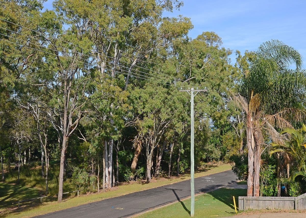 12 Spence Street, Point Vernon QLD 4655, Point Vernon - Thumbnail 3