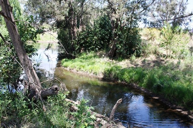 264 Cunningham Highway, Maryvale QLD 4370, Maryvale - Thumbnail 5