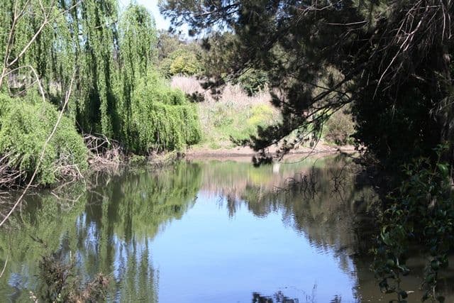 264 Cunningham Highway, Maryvale QLD 4370, Maryvale - Image 1