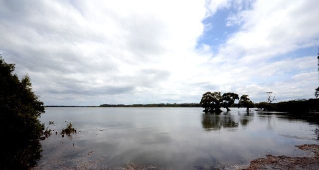65 Addison Road, Culburra Beach NSW 2540, Culburra Beach - Thumbnail 2