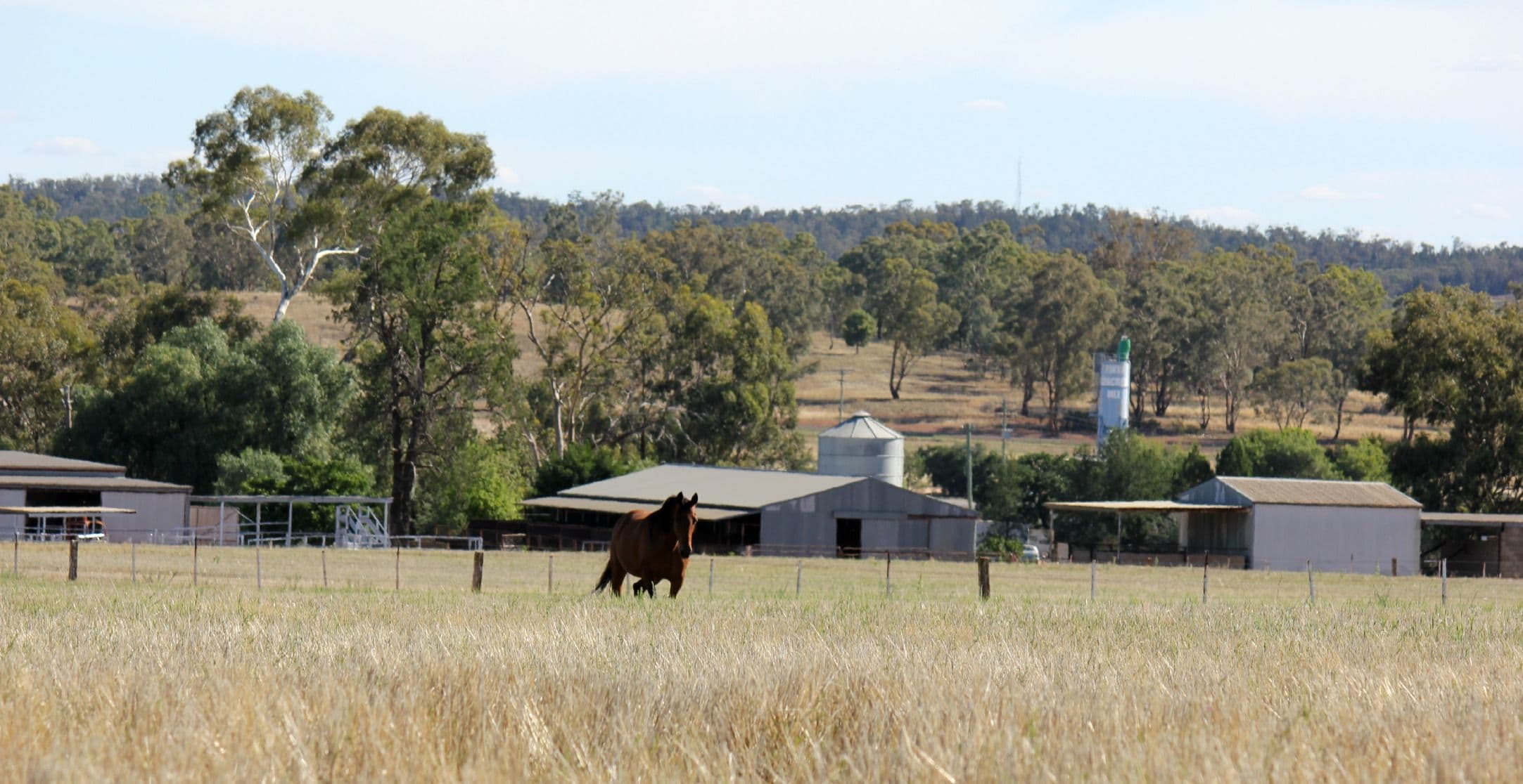 37 Tewkesbury Road, Temora NSW 2666, Temora - Thumbnail 4