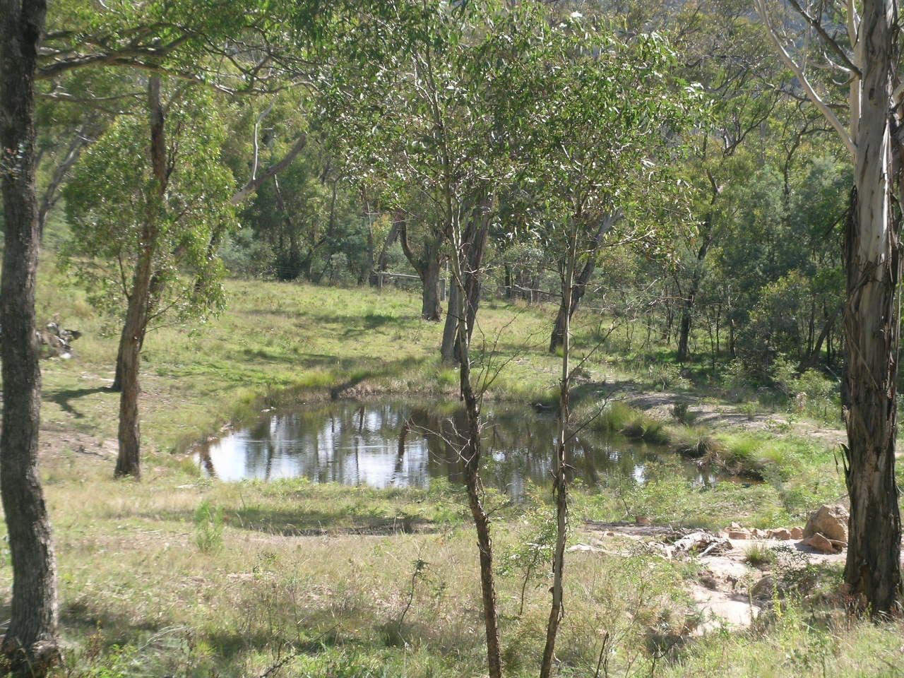 Meadow Flat NSW 2795, Meadow Flat - Image 1