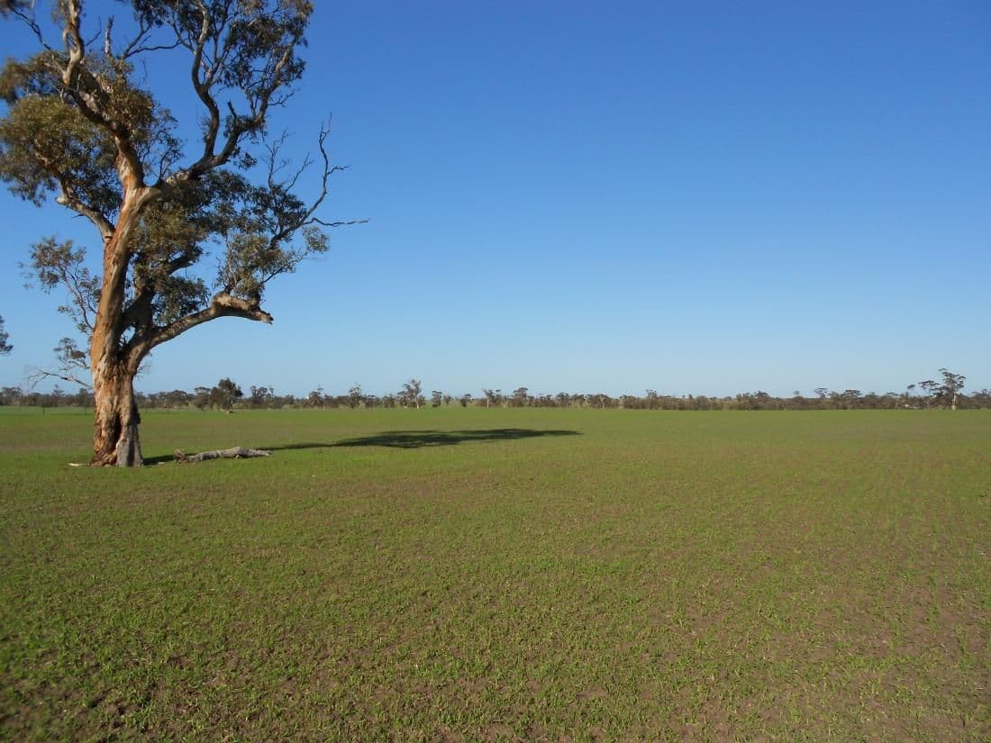 18241 Dukes Highway, Bordertown SA 5268, Bordertown - Image 1