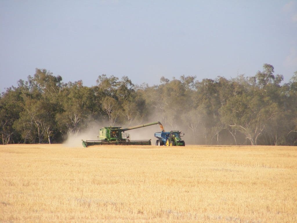 Goondiwindi QLD 4390, Goondiwindi - Image 1