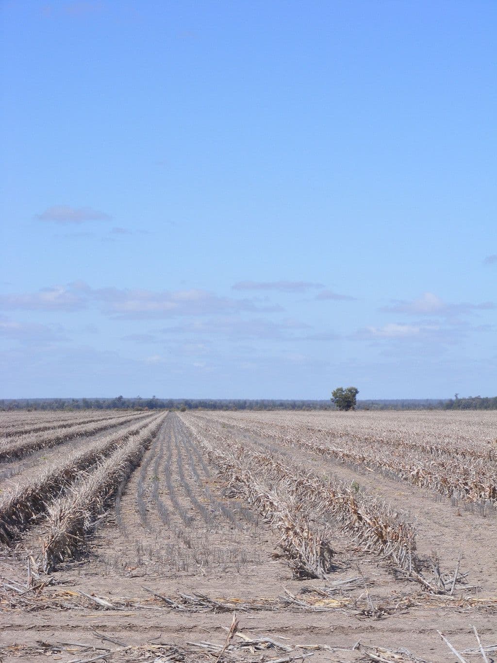 Goondiwindi QLD 4390, Goondiwindi - Thumbnail 7
