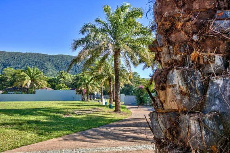 2-12 The Village Way, Palm Cove QLD 4879, Palm Cove - Thumbnail 3