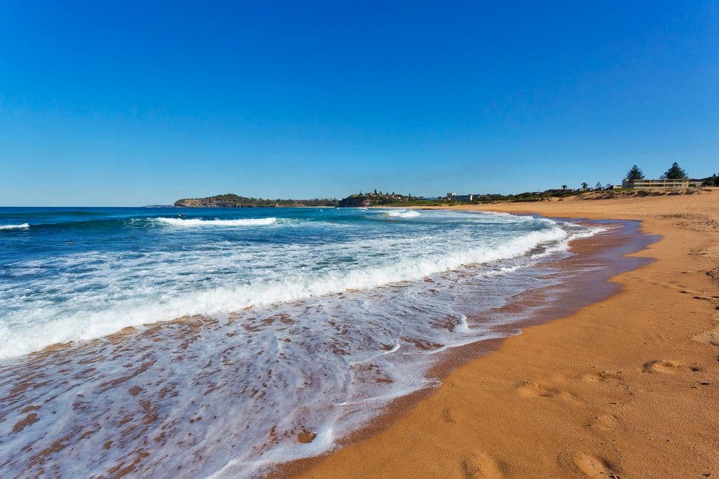6 Darley Street, East, Mona Vale NSW 2103, Mona Vale - Thumbnail 4