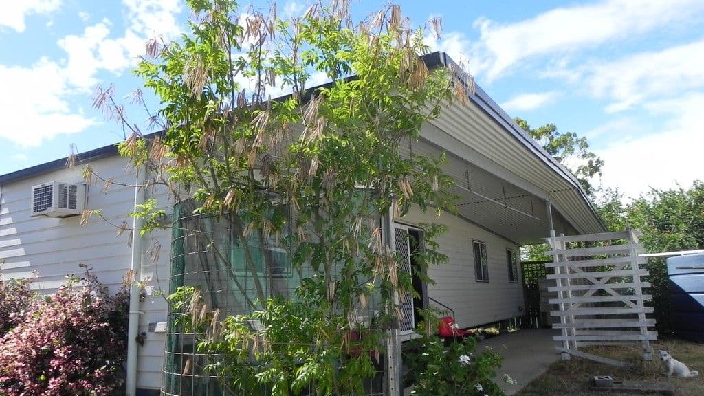 115 Campbell, Millmerran QLD 4357, Millmerran - Image 1