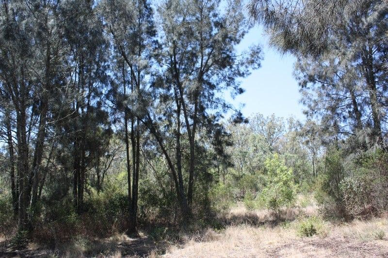 0 Vohlands Road, Pittsworth QLD 4356, Pittsworth - Thumbnail 4