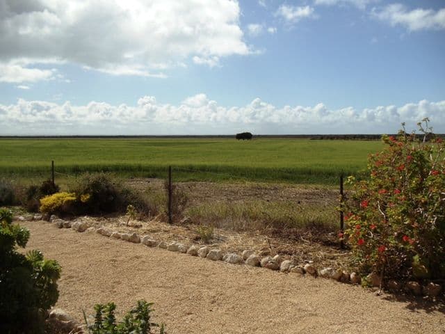 4281 Old Boundary Road, PRICE SA 5570, Price - Thumbnail 2