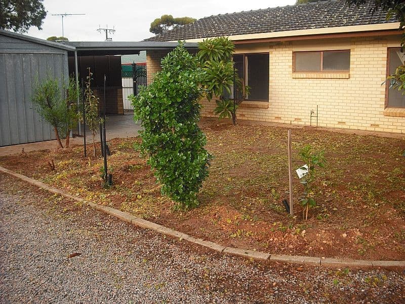 20 Recreation Avenue, MURRAY BRIDGE SA 5253, Murray Bridge - Thumbnail 5