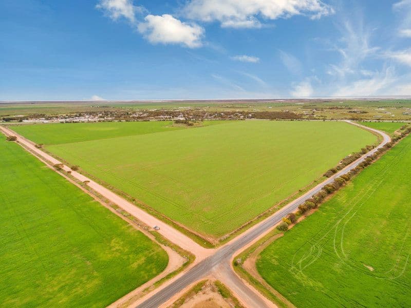 Lot 20 Avon Road, Dublin SA 5501, Dublin - Image 1