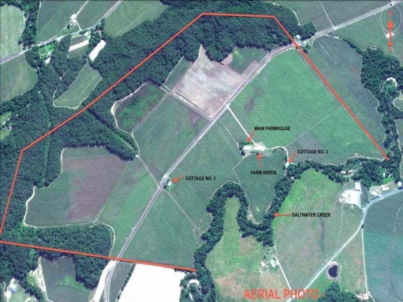 630-674 Syndicate Road, Miallo QLD 4873, Miallo - Thumbnail 4