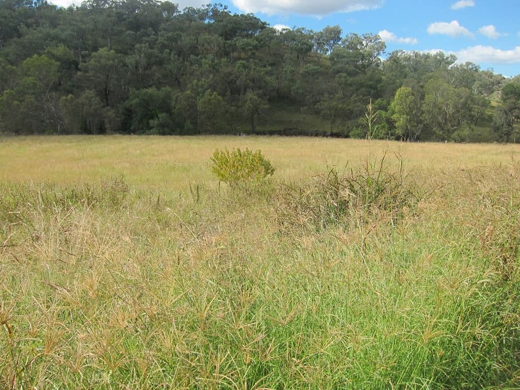 20 Pindari Estate, Tamworth NSW 2340, Tamworth - Thumbnail 5