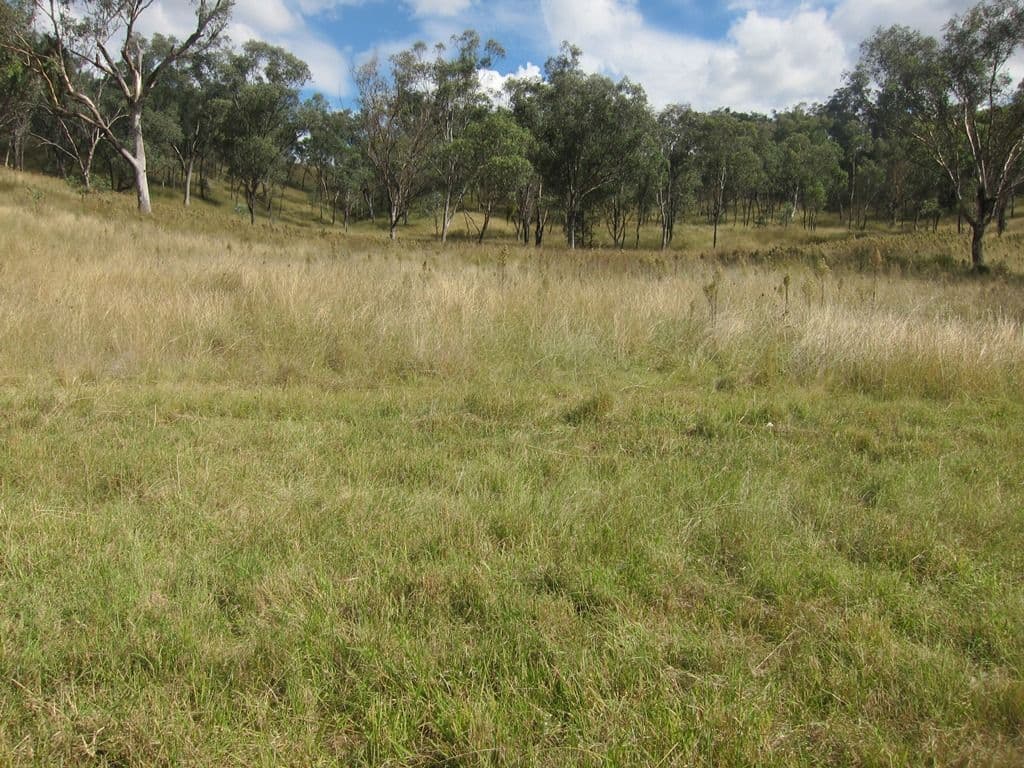 20 Pindari Estate, Tamworth NSW 2340, Tamworth - Thumbnail 6