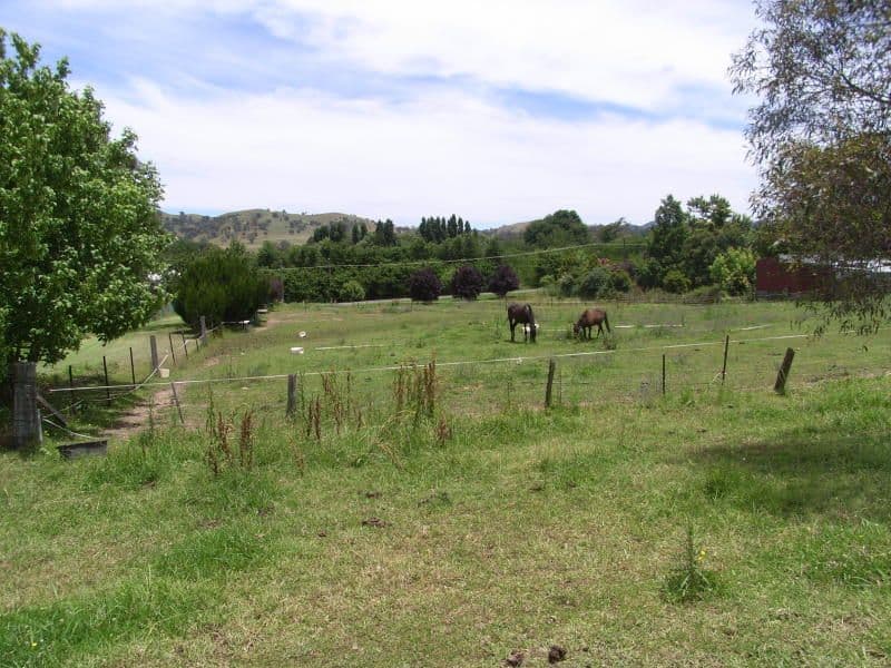 26 - 28 Jenkins Street, Nundle NSW 2340, Nundle - Thumbnail 4