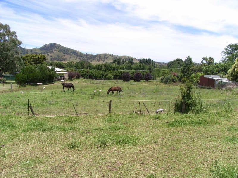 26 - 28 Jenkins Street, Nundle NSW 2340, Nundle - Thumbnail 5