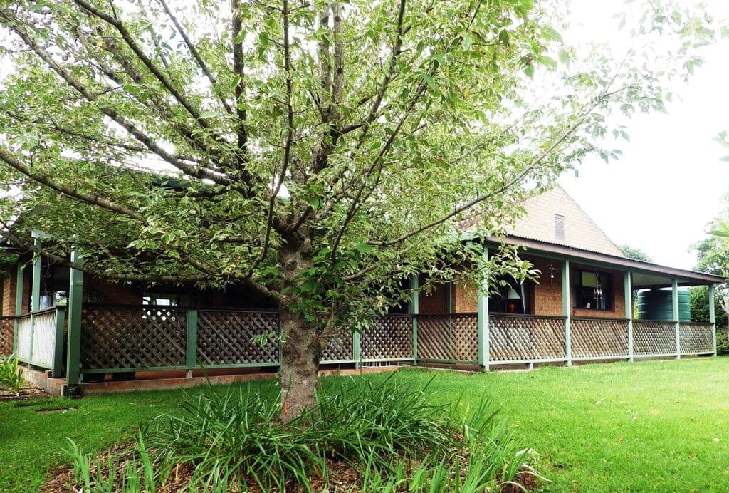 291 Paddys Plain Road, Dorrigo NSW 2453, Dorrigo - Image 1