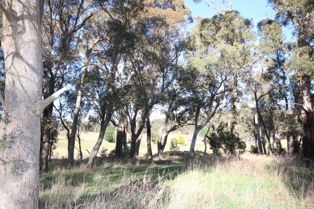 Oberon NSW 2787, Oberon - Thumbnail 4